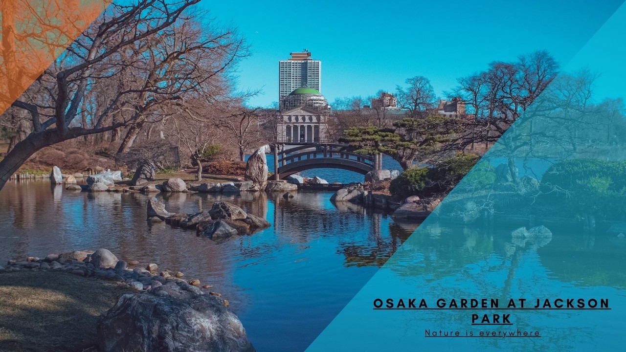 Osaka Garden at Jackson Park walking tour