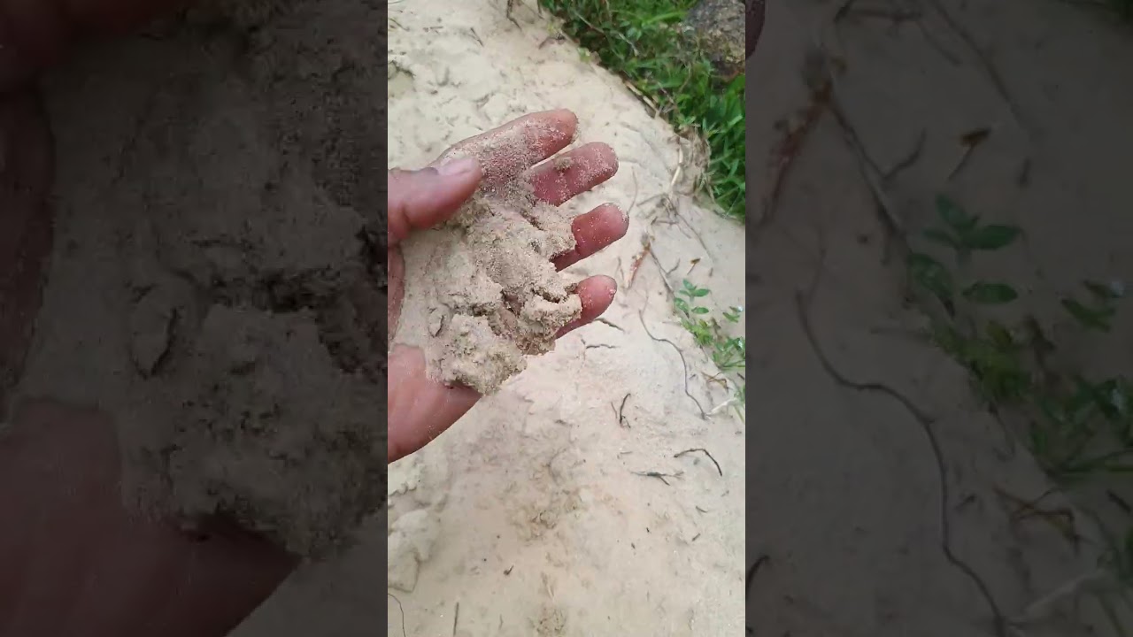 Trilha da pedra do urubu na guarda do embau.