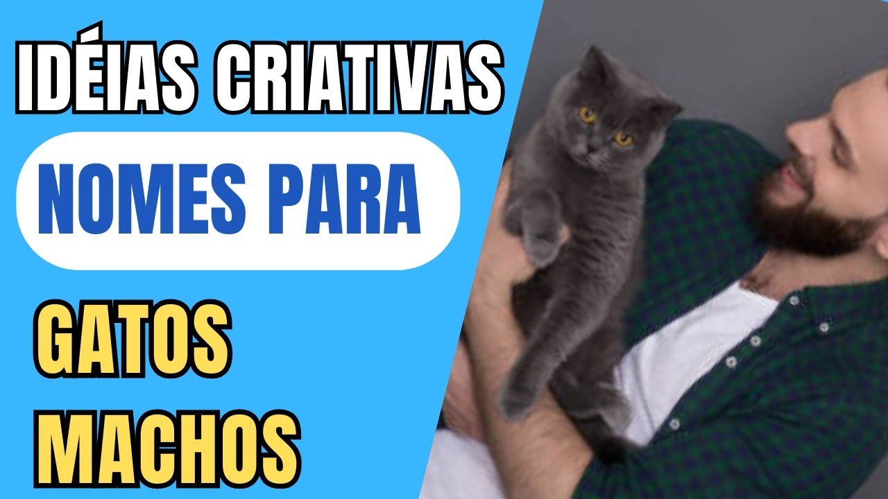 20 NOME LINDOS - PARA  Gatos Machos