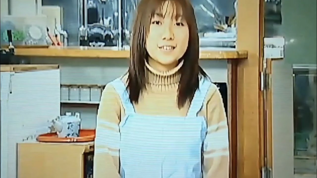 Doko Demo Issyo PS2 Toro to Kyujistu: The Random People