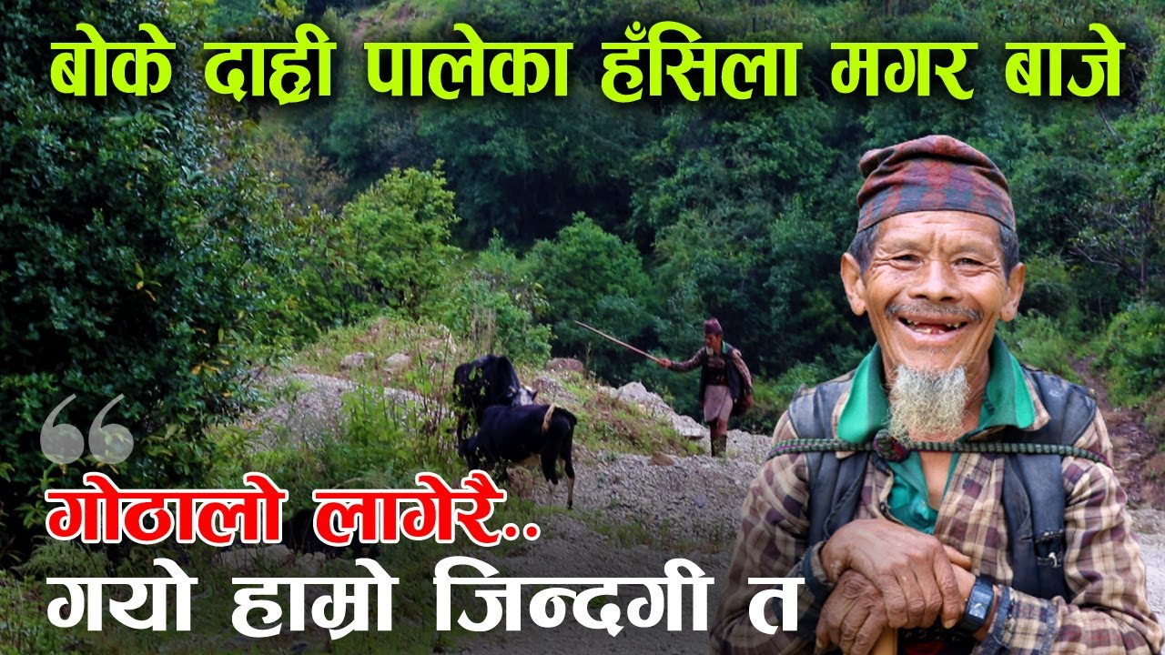 बाटैमा भेट भएका मगर बाजेसँग भलाकुसारी, भन्छन्– गुवाला लागेर गयो जिन्दगी !│Nepal Chitra