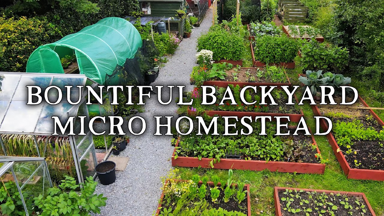 Amazing Permaculture Raised Bed Vegetable Garden | Combining No Dig Gardening with Poultry