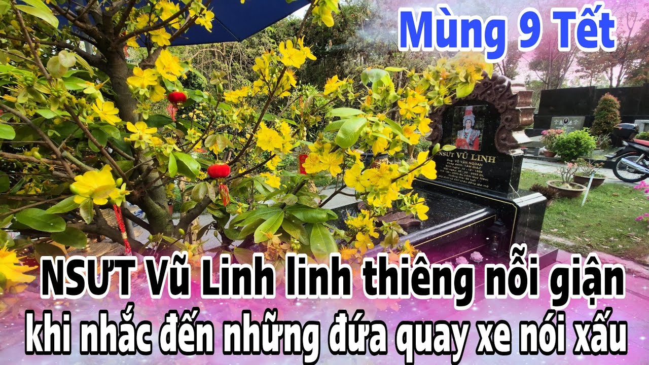 TRỜI ƠI! NSƯT Vũ Linh quá linh thiêng nỗi giận ở mộ khi nhắc đến những đứa ba phải quay xe nói xấu 