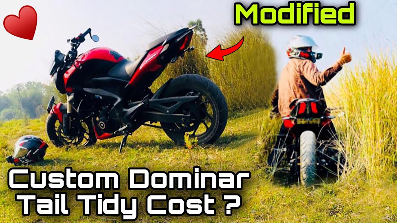 Socha Nahi Tha Hamari Dominar Modify Hokar Aisi Lagegi 😍|| Dominar 250 Tail Tidy Modified Cost ?