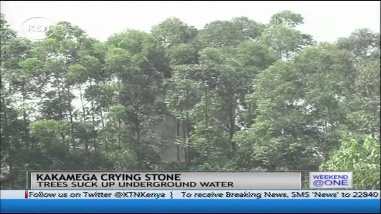 KAKAMEGA CRYING STONE: Famous Kakamega stone weeps no more