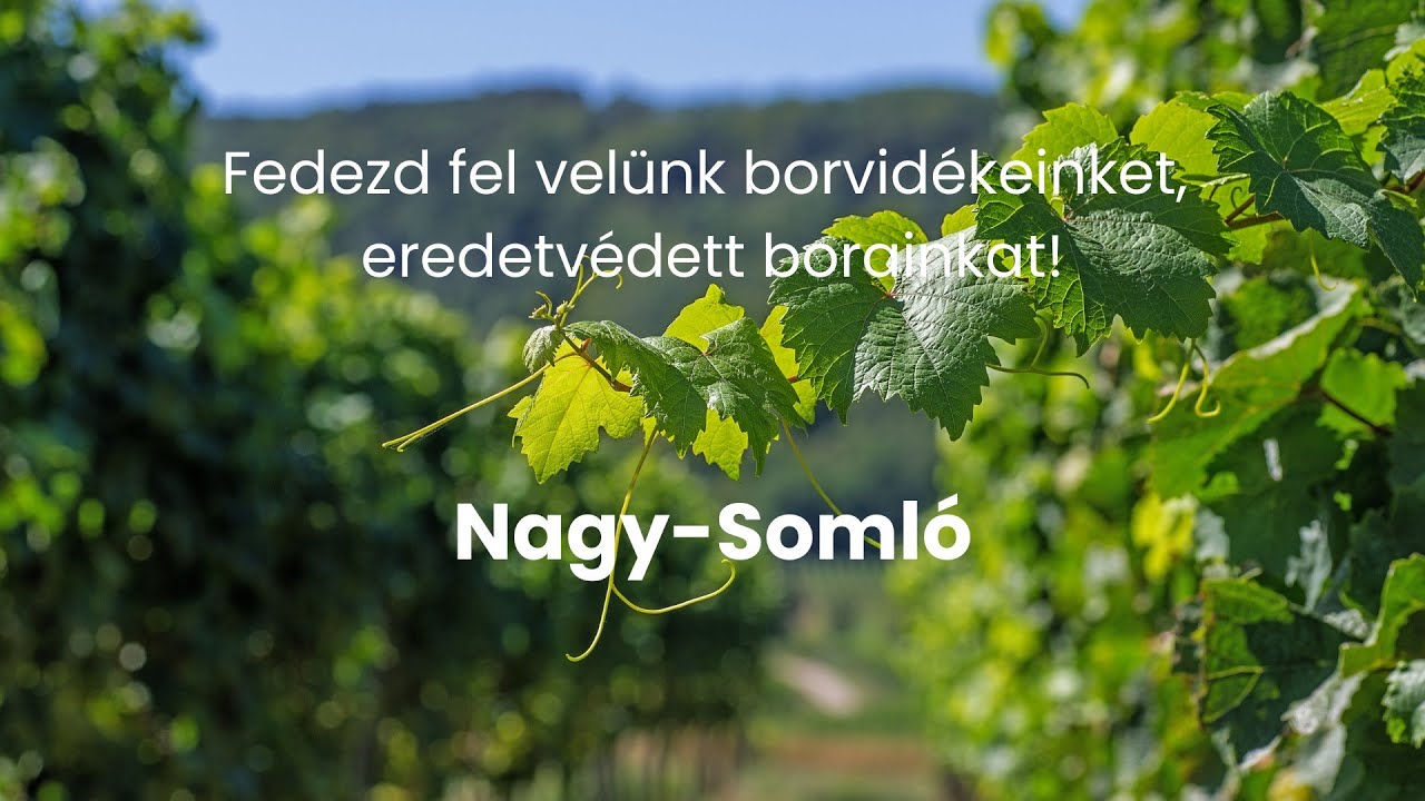 Nagy-Somló - Fedezd fel velünk borvidékeinket, eredetvédett borainkat!
