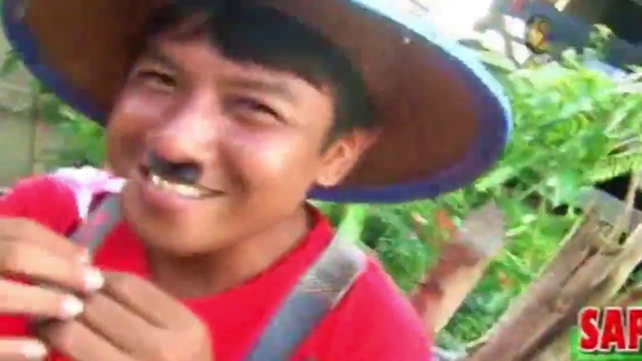 DEROS MINI (ACI ALAM)