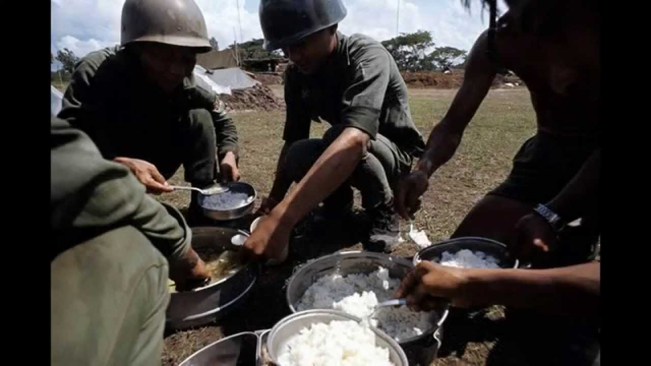 Người L&iacute;nh Việt Nam Cộng H&ograve;a
