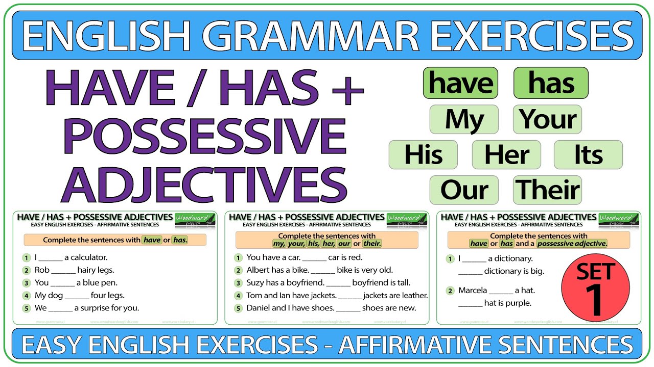 Have / Has + Possessive Adjectives | Easy English Grammar Exercises | ESOL Fill The Blanks