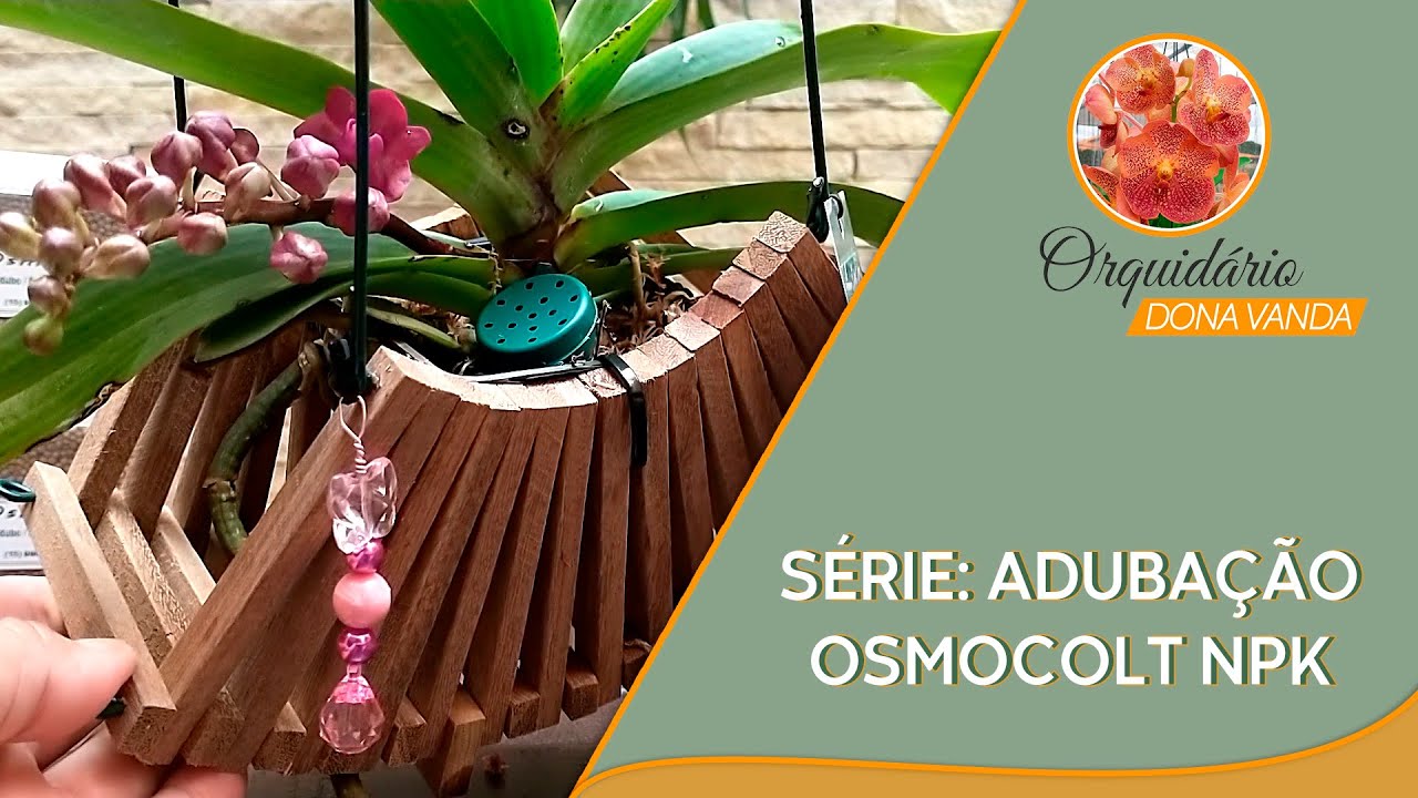 Osmocote NPK - Série: Adubação | Orquidário Dona Vanda