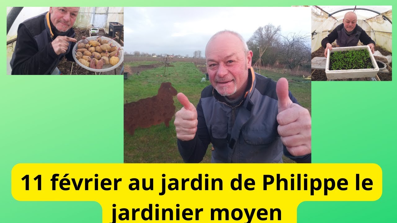Quoi faire au 11 février au jardin de Philippe le jardinier moyen