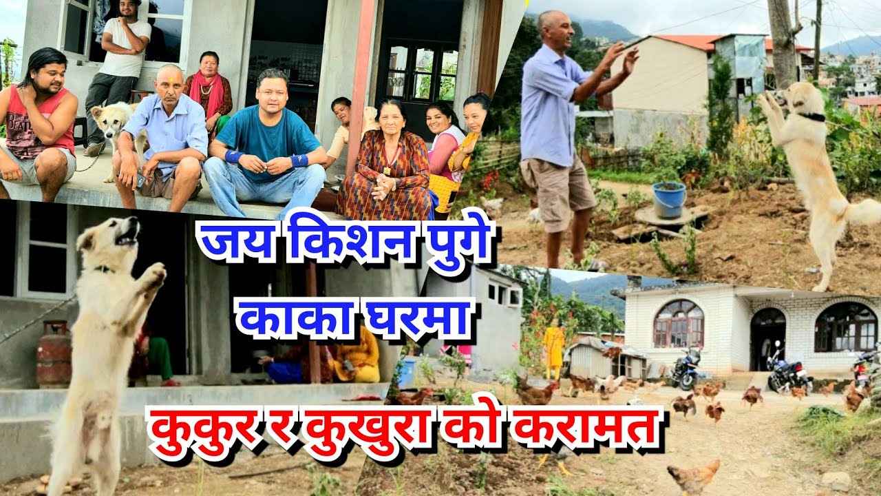 जय किशन पुगे काका घरमा, बुढीहरुले बनाए तन्नेरी खाना, कुकुर र कुखुराको करामत Jaya Kishan Basnet