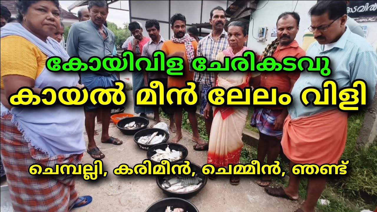 കോയിവിള ചേരികടവു കായൽ മീൻ ലേലം വിളിച്ച് വാങ്ങാം കൊഞ്ച് ഞണ്ട് കരിമീൻ 