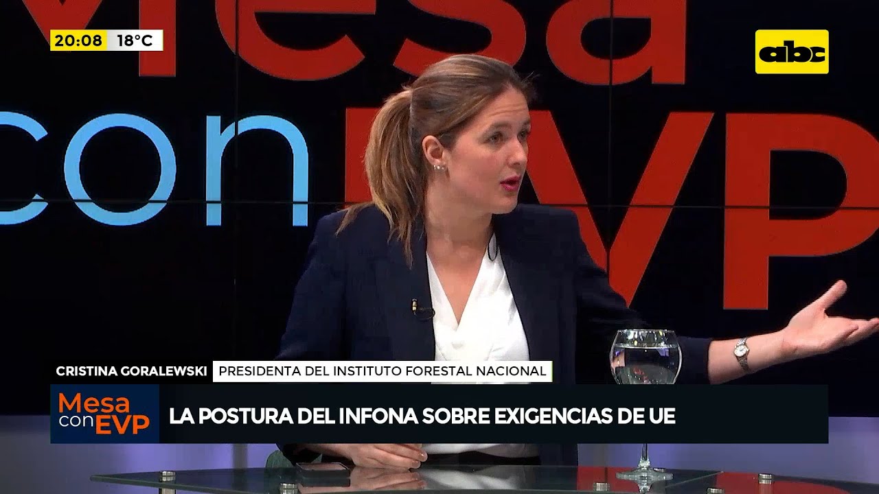 La postura del Infona sobre las exigencias de la Unión Europea