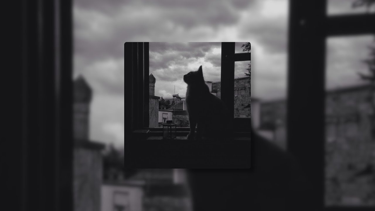 Mr.Kitty - Destroy Me // sped up + reverb