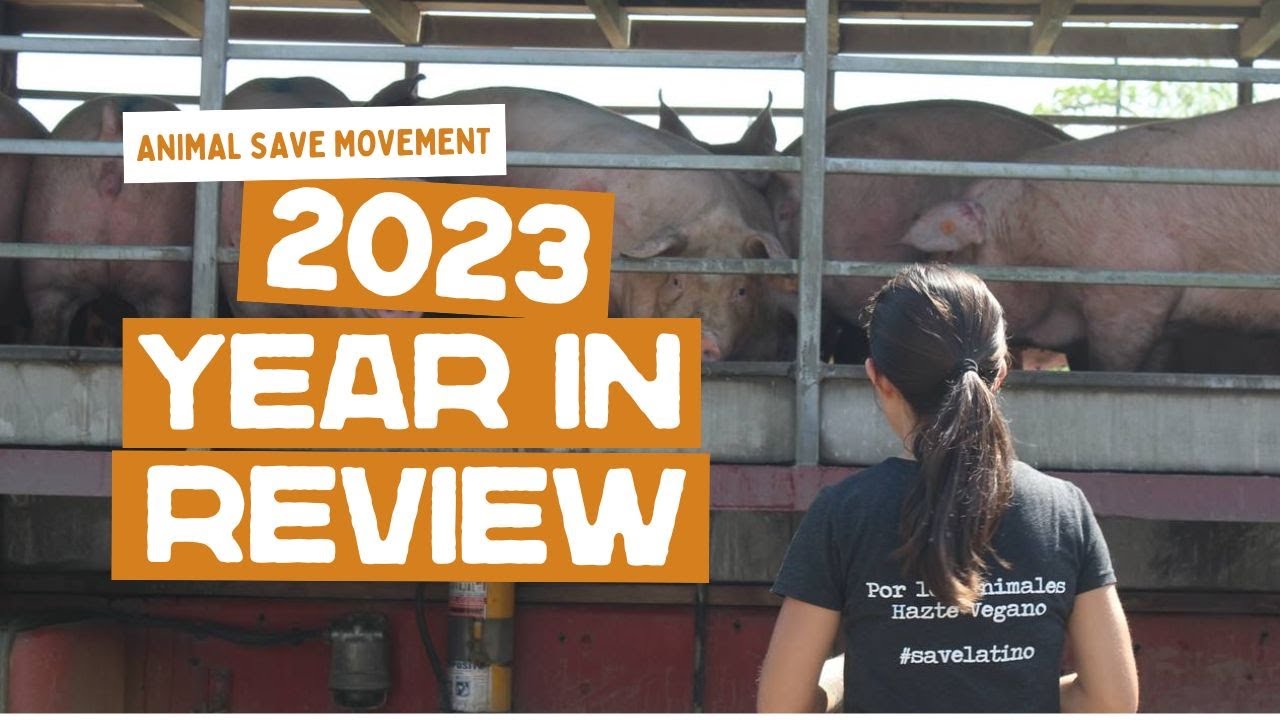 Animal Save Movement 2023 Year in Review