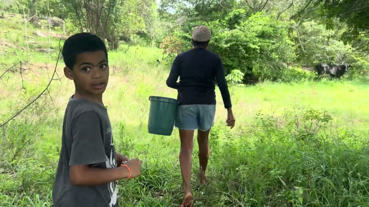 Hoje Daiane e  Dona LEU e Miguel foram buscar jabuticaba 
