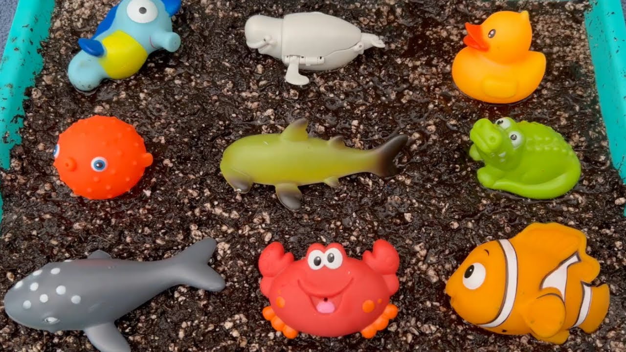 Washing Muddy Animal Toys! 🛁 Fun Cleaning & Learning for Kids