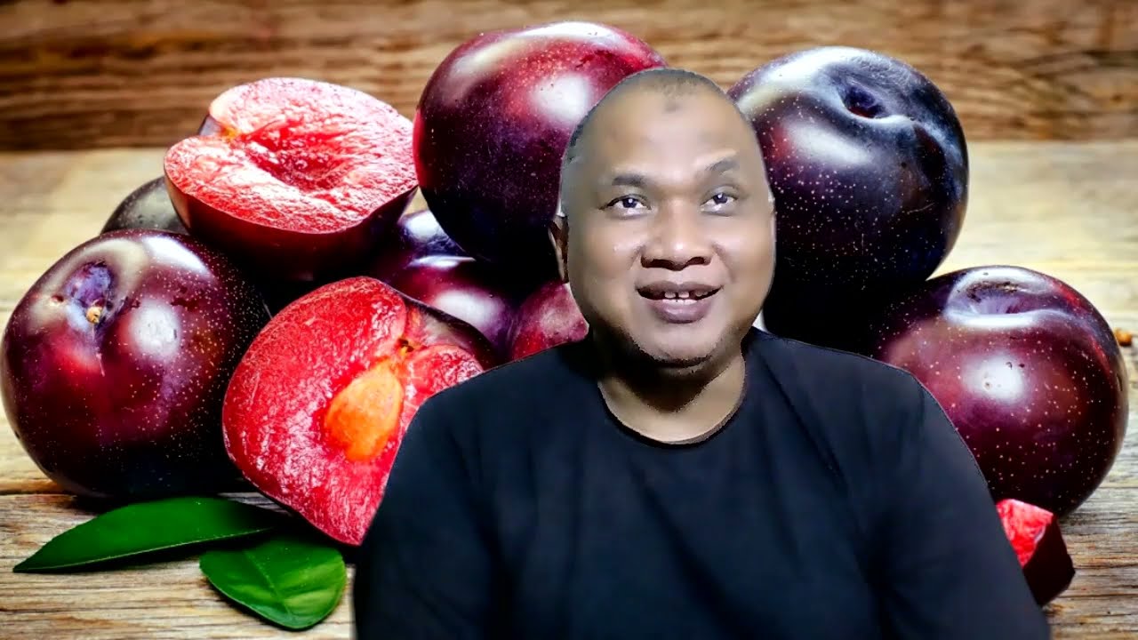 Perbedaan Buah Plum Asli dengan Plum Aussie !