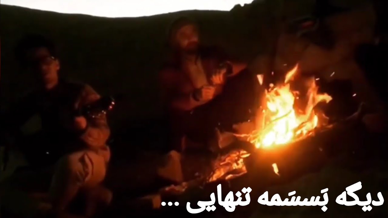 Bassame - Behnam Bani 🔥🎸