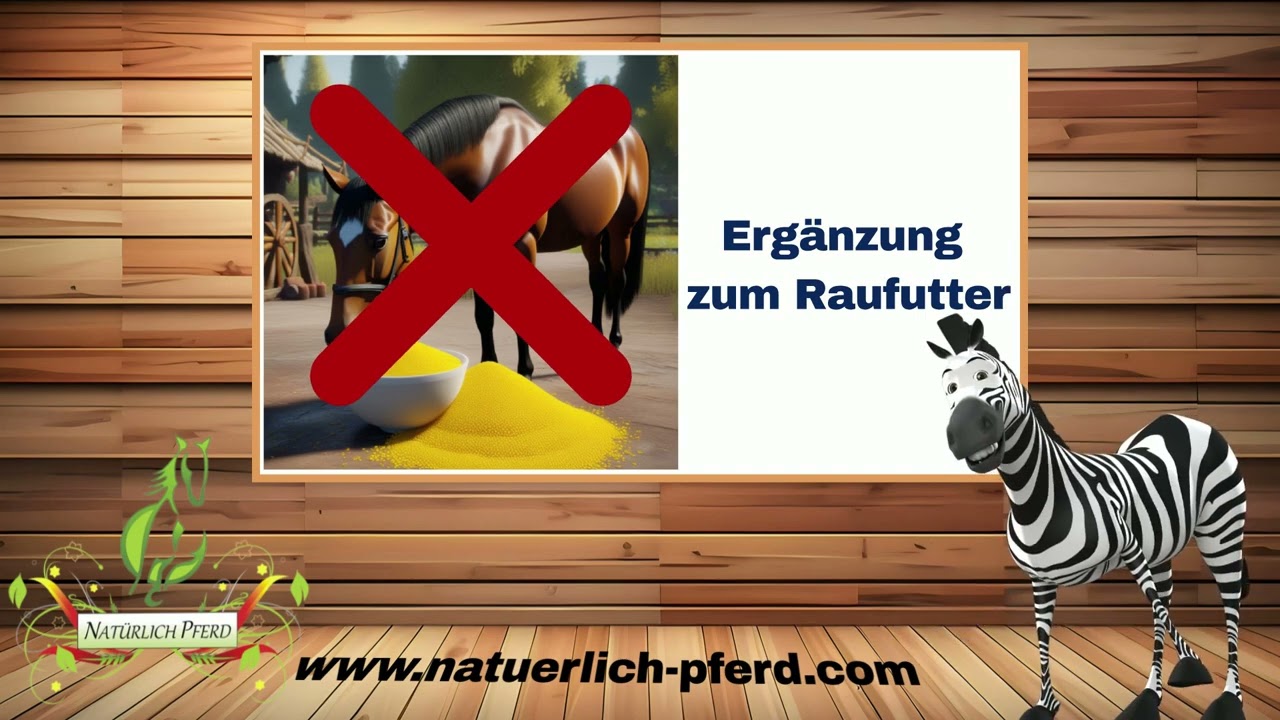 Die Kraft aus dem Haferkorn - Hafer in der Pferdefütterung