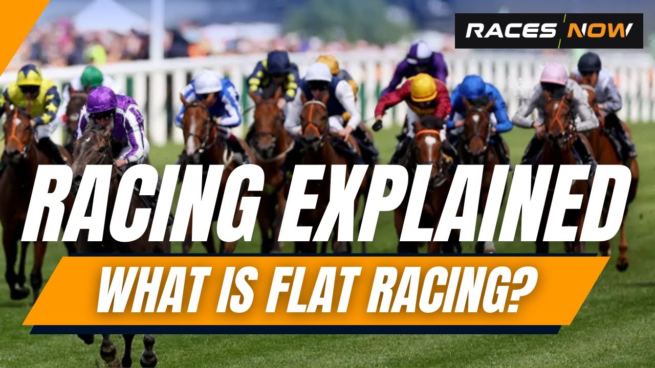 What Is Flat Racing? | Horse Racing Explained
