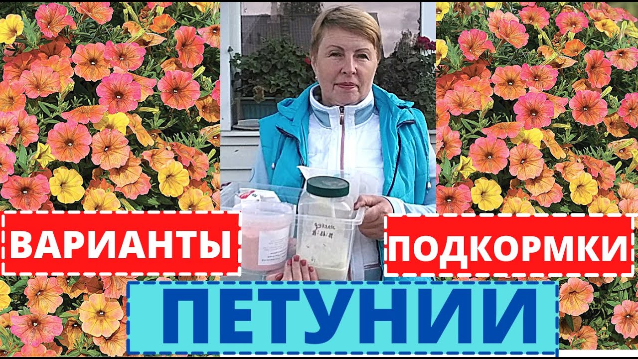 ПЕТУНИЯ важные ПОДКОРМКИ для пышного роста в начале лета