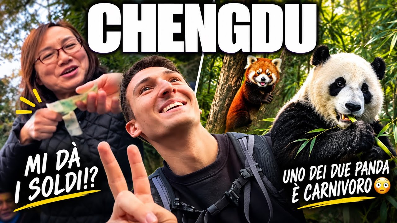 Ps. Accarezzarlo NON è una buona idea 🐼
