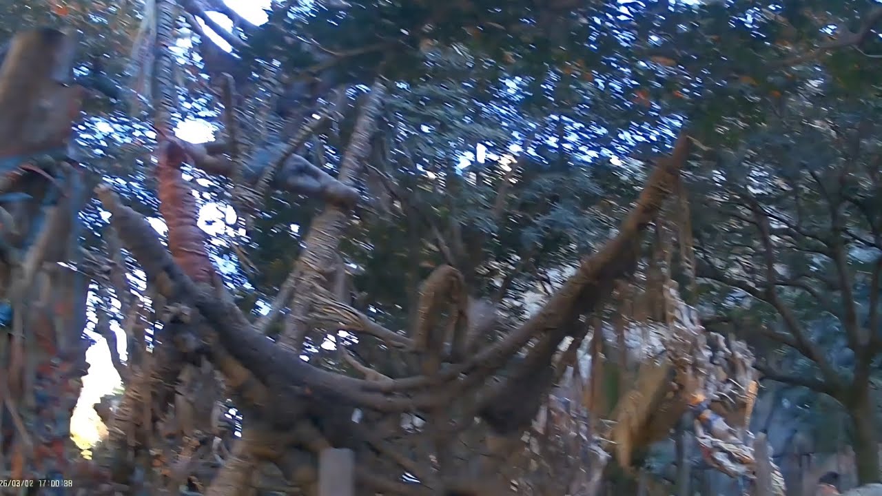 Walking up to the flight of the passage 