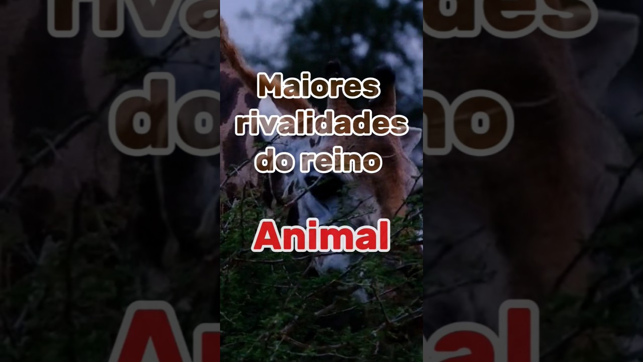 Maiores rivalidades do reino animal! #animais #curiosidades