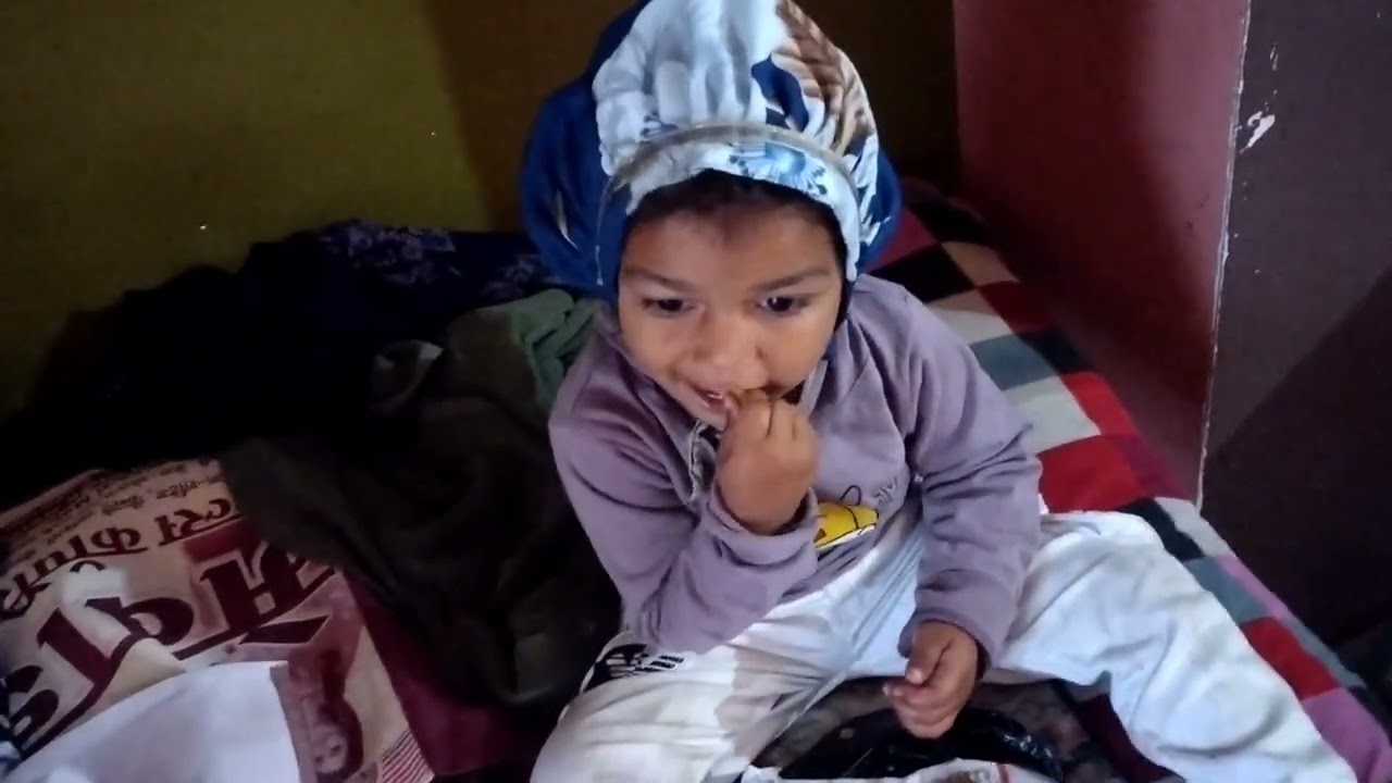 आज हमने हमारी छोटी गाया को मौसी को दे दी 