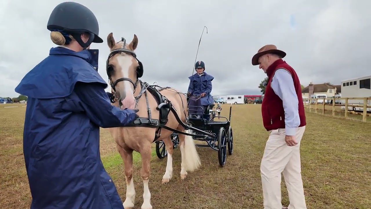 British Carriagedriving - An Introduction to Dressage