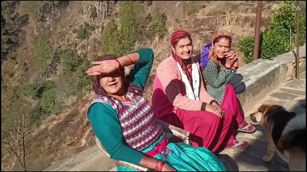 Aaj akhrot ke pedon ki jhadiyan kati