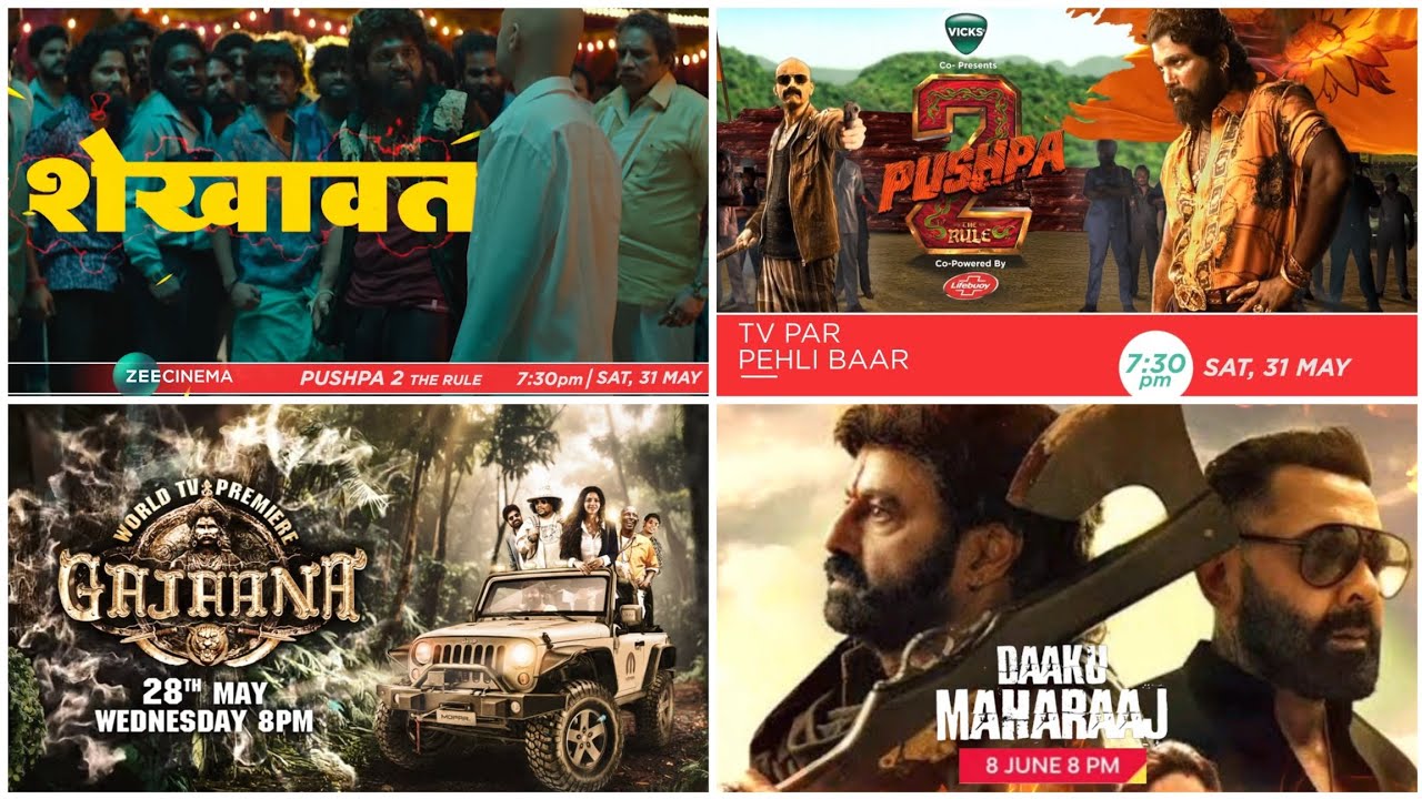 WORLD TV PREMIERE | TOP 7 PREMIERE | ZEE CINEMA | SONY MAX | GOLDMINES