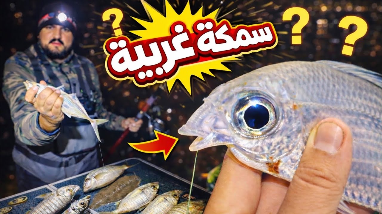� سمكة غريبة ظهرت فجأة فخرجة صيد ليلية 😱 |شاطئ آسفي