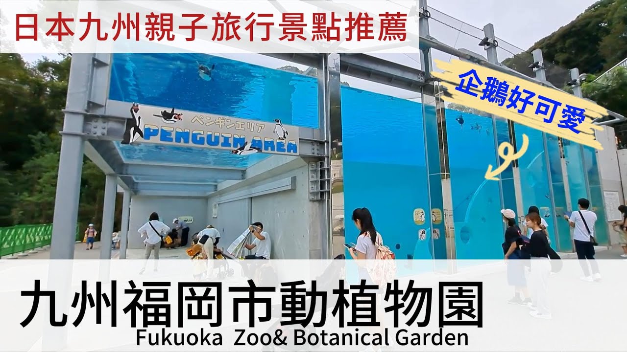 福岡市動物園 | 日本九州 | 親子景點推薦 | 植物園 | 企鵝館 | Zoo |Super Mouse