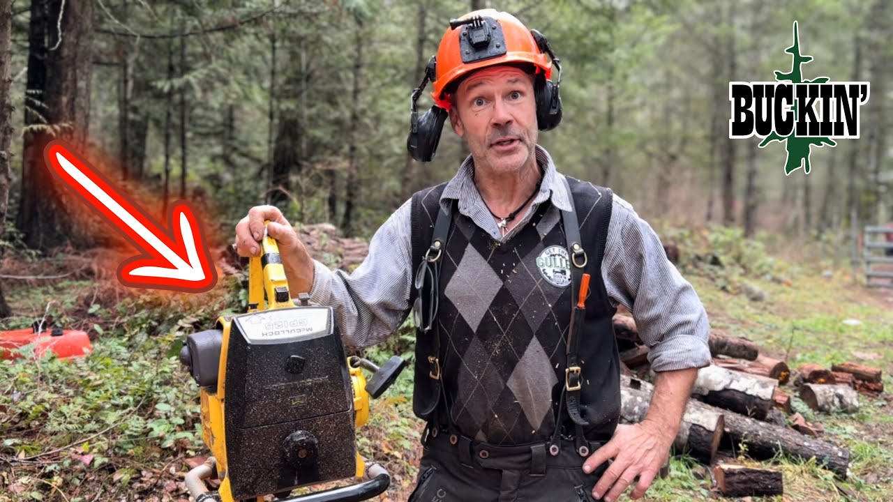 Favourite chainsaw? ￼NO DEBATE! This is the one 