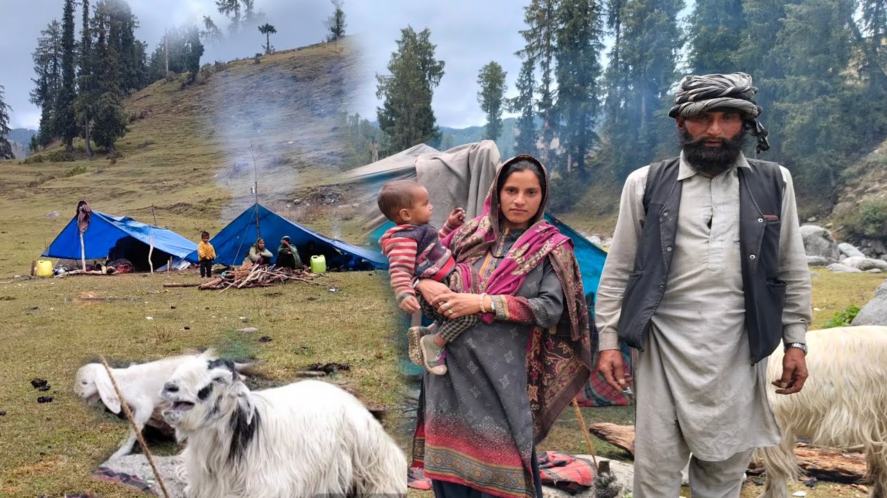 Untold Stories Of  Bakarwal Family In Jammu & Kashmir 😱 Pahadi Life Style Vlog ♥️ 