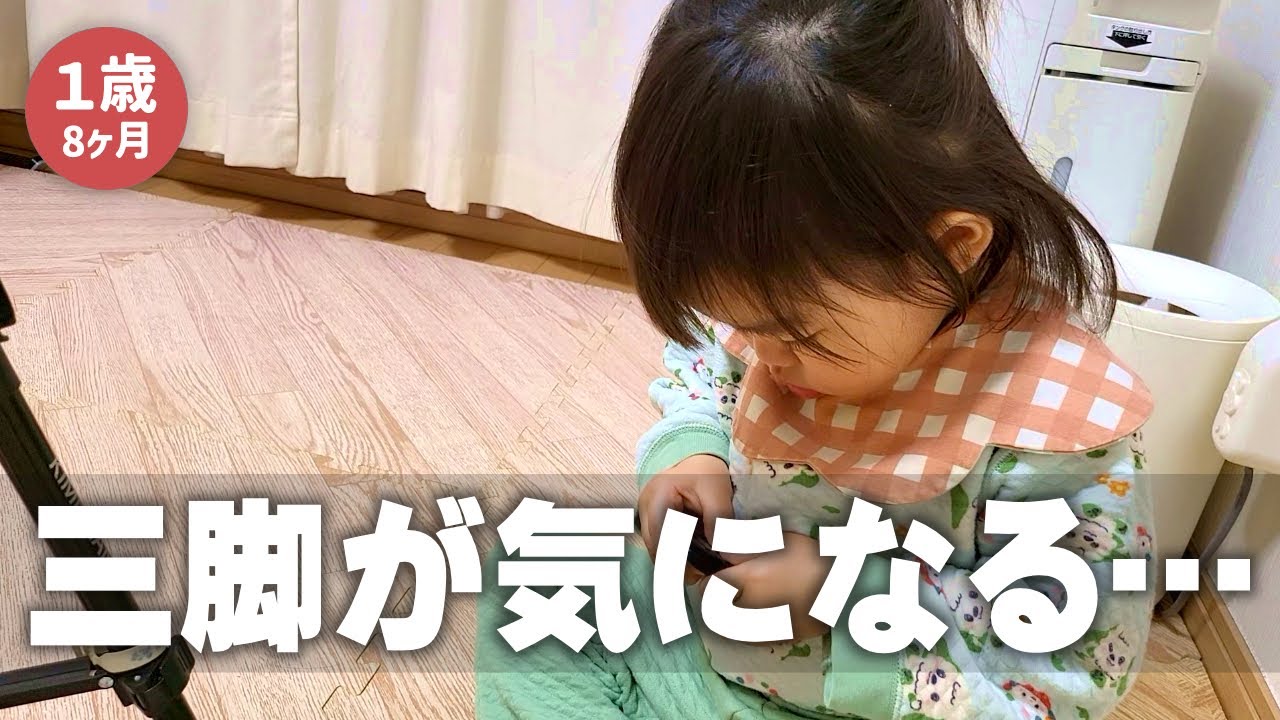 【毎日更新】三脚が気になった日【生後１年8ヶ月8日目】｜赤ちゃん｜かわいい｜新米パパの奮闘記｜初育児｜A FULL DAY WITH A 1 YEAR OLD BABY