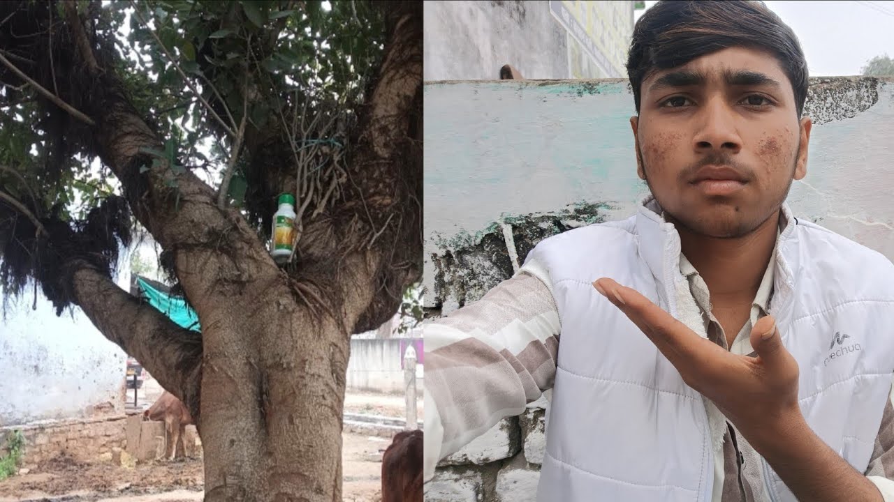 Yah kahan per Rakh Diya ? Yah kya chij hai 🤔