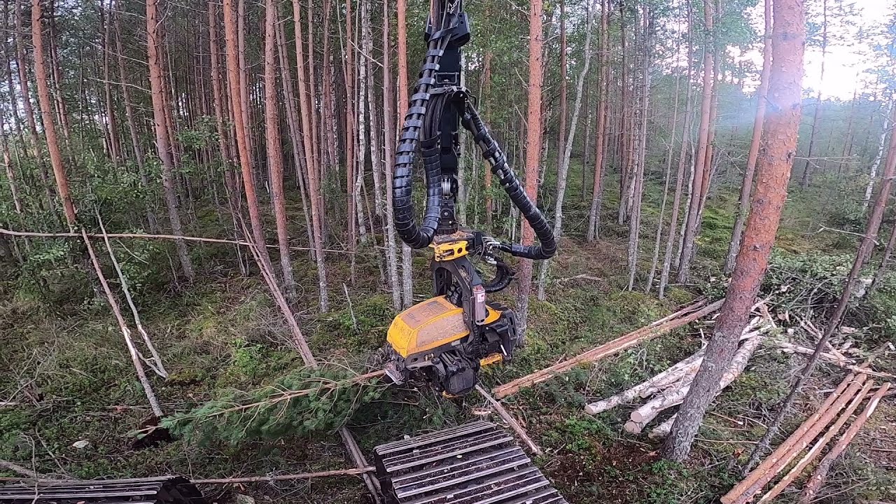 Löyty tiheä harvennus pusikko Ponsse Scorpion H6