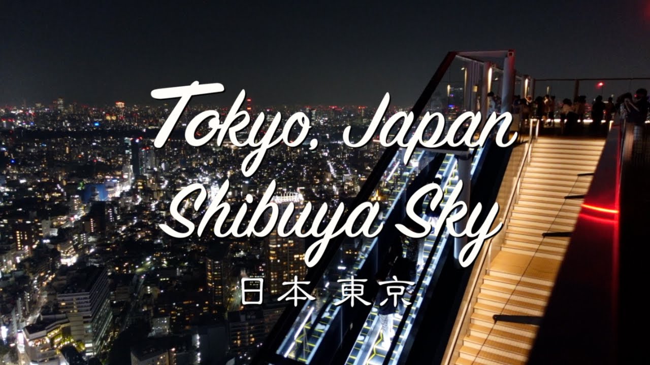 도쿄가 내려다보이는 시부야 감성 전망대 시부야 스카이 Shibuya Sky 渋谷スカイ