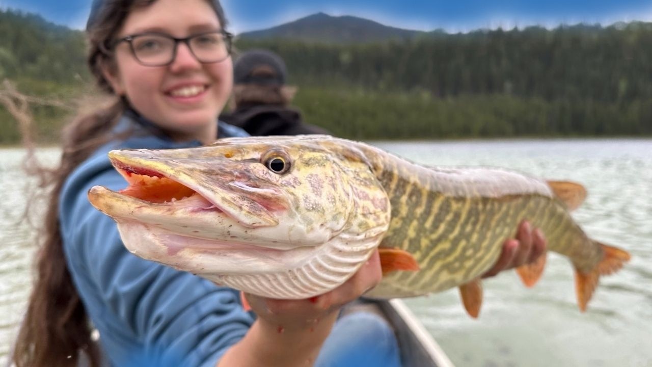 How Does This TINY Lake Have Such GIANT Fish!?