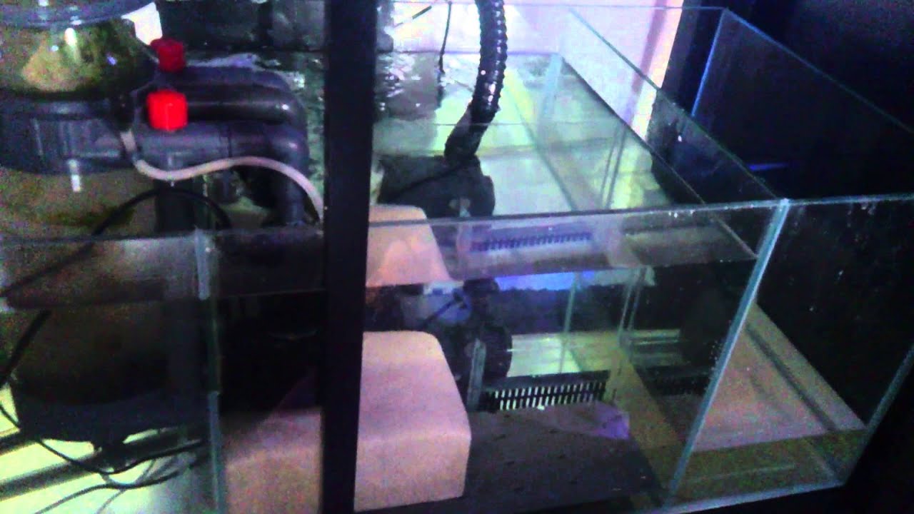 How to ensure your sump does not flood water