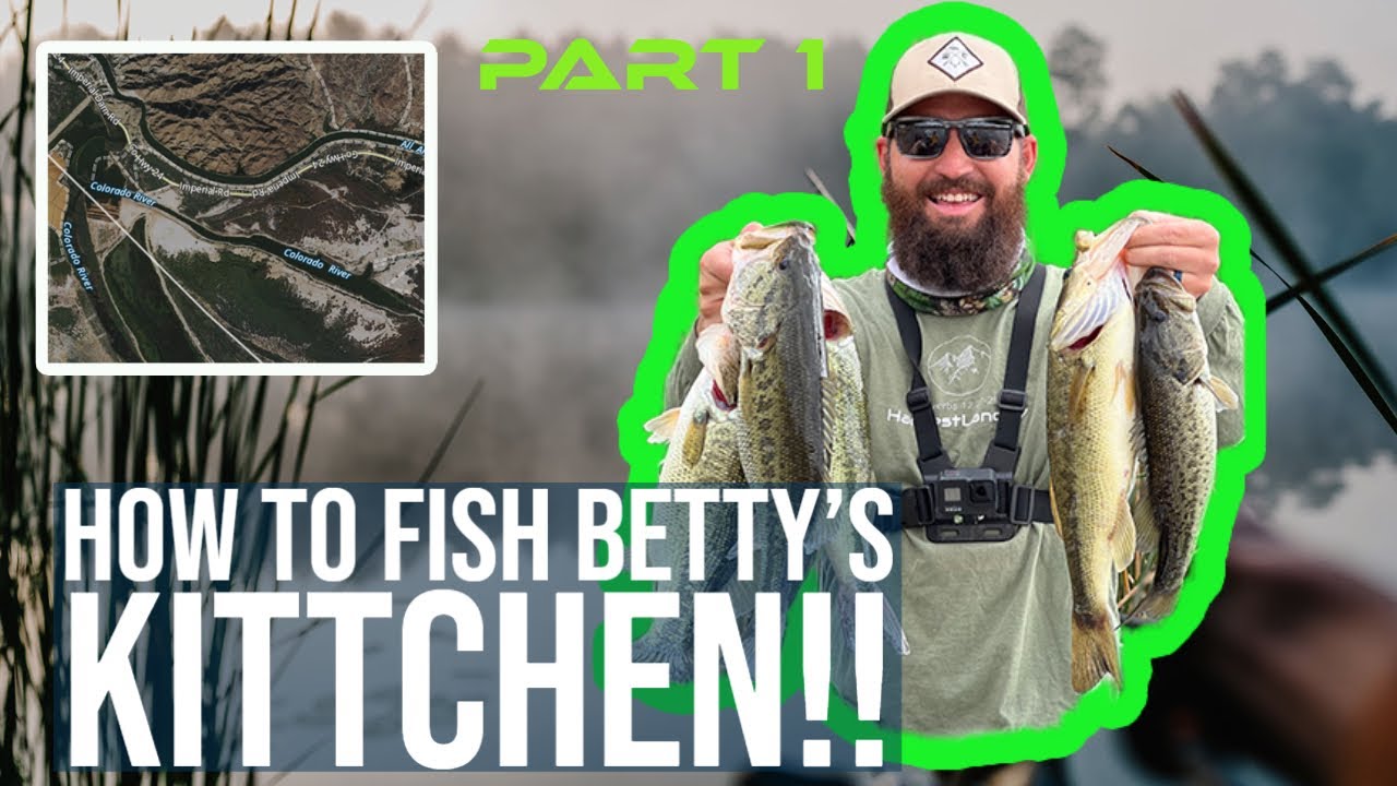 Bass Fishing Arizona | How to Fish BETTYS KITCHEN | #arizona #fishing #yumaaz