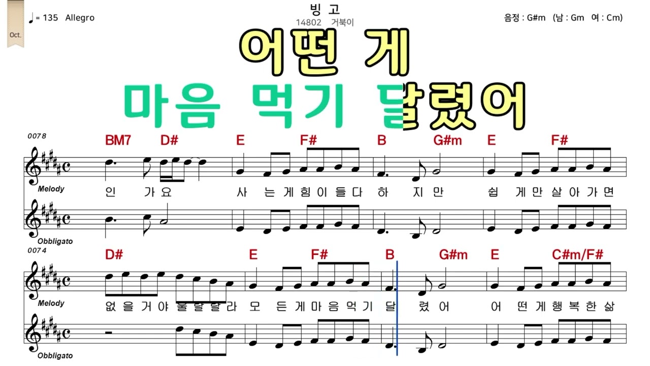 빙고 거북이 악보와노래