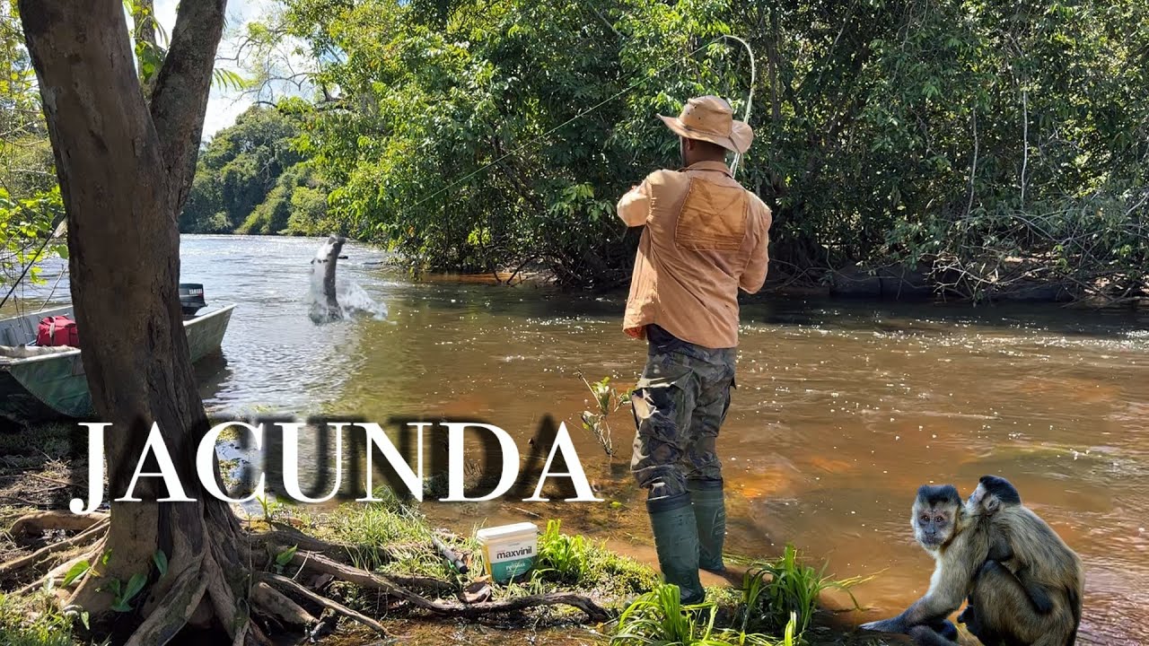 ACAMPANDO, PESCANDO e REGISTRADO varias espécies de ANIMAIS e PEIXES de regiões AMAZÔNICAS
