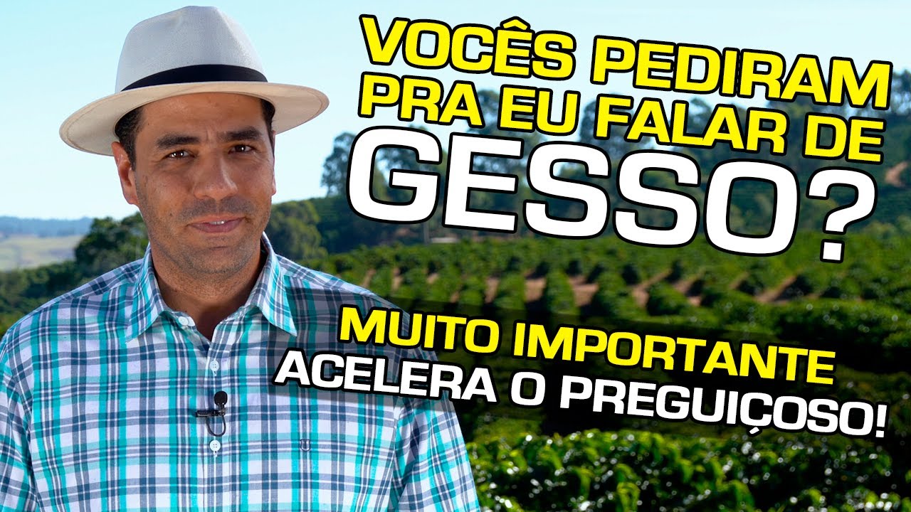 Vocês Pediram Pra Eu Falar de Gesso? Muito Importante, Acelera o Preguiçoso | No Pé do Café