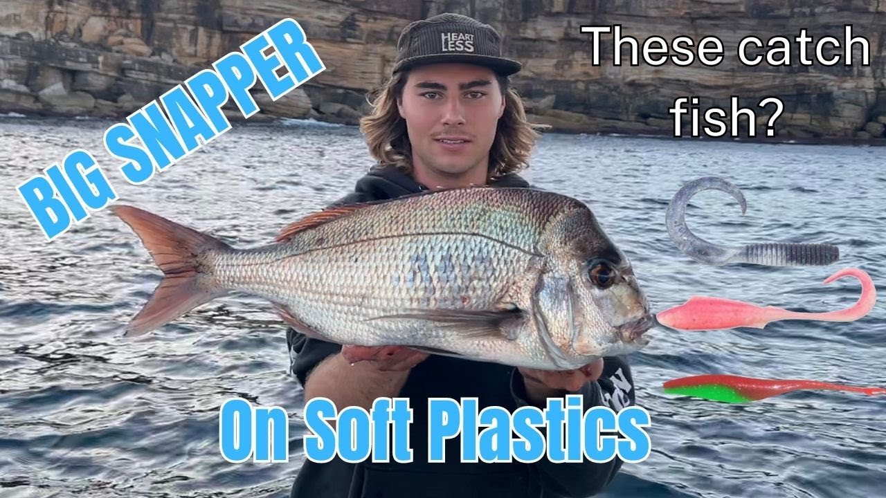 BIG Sydney Snapper FISHING on Soft Plastics (Catch 'n' Cook)