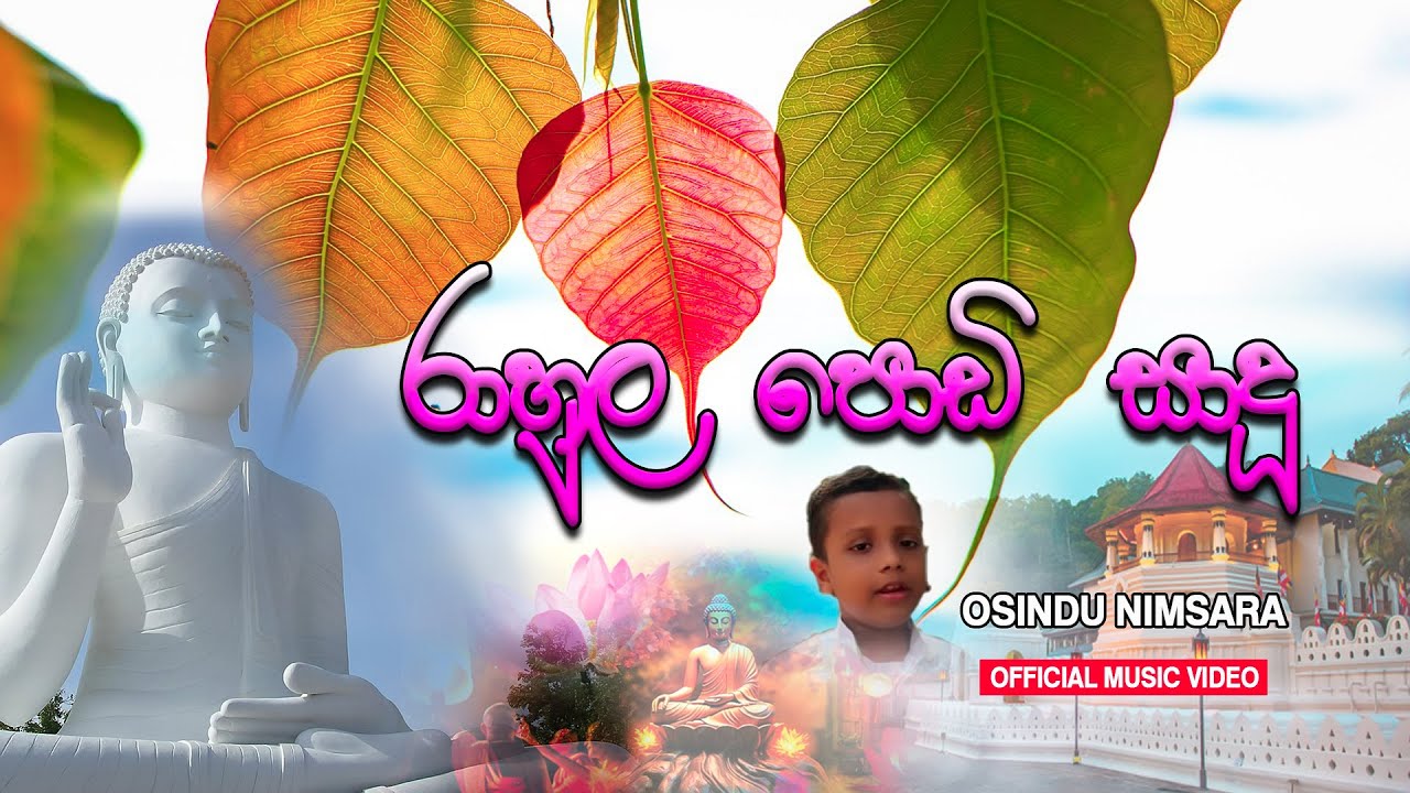 rahula podi sadu / රාහුල පොඩි සාදු / #2025_new_songs